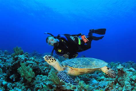 Discover Scuba Diving in El Nido - Online Booking