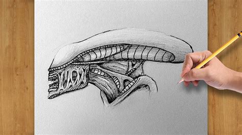 How to Draw H. R. Giger's Alien Head - Easy Drawing for Beginners - YouTube