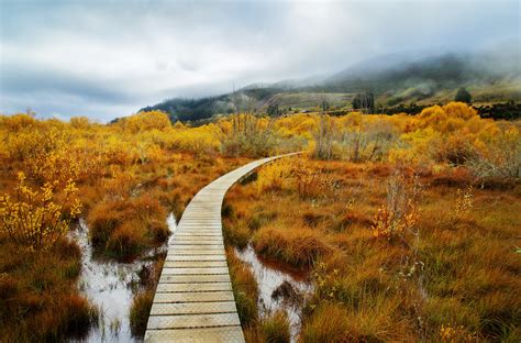 Hiking in Glenorchy – Stuck in Customs