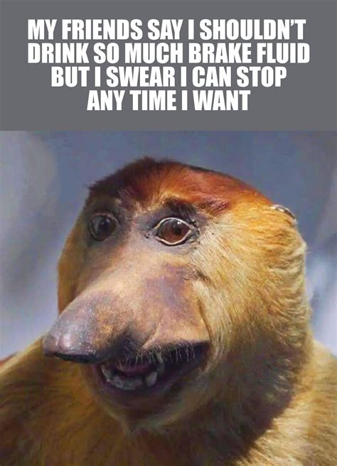 Proboscis Monkey comedian : r/memes