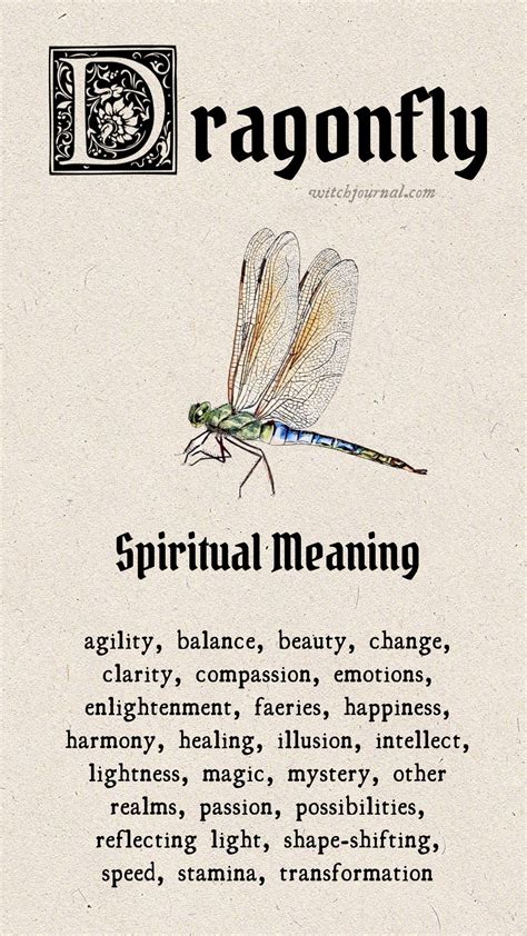 Dragonfly Spiritual Meaning | Dragonfly tattoo, Spiritual meaning ...