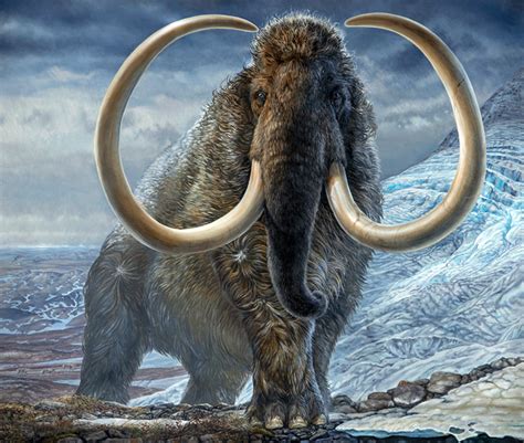 New Research Sheds Light on Life of Arctic Woolly Mammoth | Paleontology | Sci-News.com