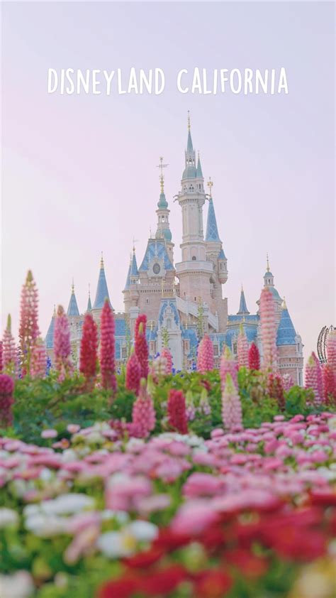 Disneyland anaheim california – Artofit