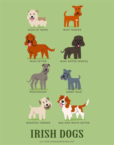 Dog Breed Poster