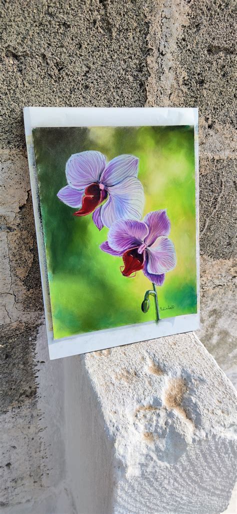 Orchid Painting Pastel Original Floral Drawing Soft Pastel Drawing ...