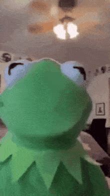 Kermit Gif - IceGif