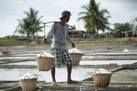 Dasol Salt Farm - See Pangasinan