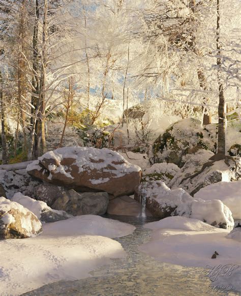 Forest Scene Winter 3D Render | RenderHub Gallery