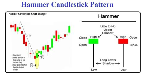 How to trade Hammer Candlestick Pattern 2024 - CoinCodeCap - Crypto Signals