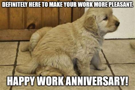 You Rock Meme Work Anniversary Meme Anniversary Meme Funny Pictures | Sexiz Pix