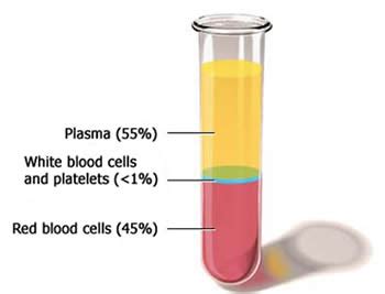 Blood and plasma (Appearance, composition and functions) - Online ...