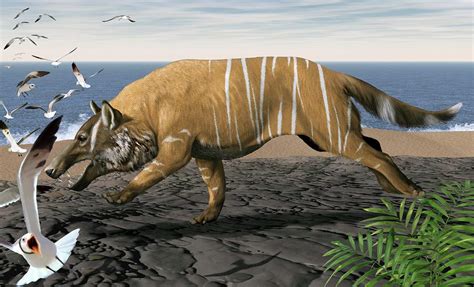 Andrewsarchus Photograph by Jaime Chirinos/science Photo Library