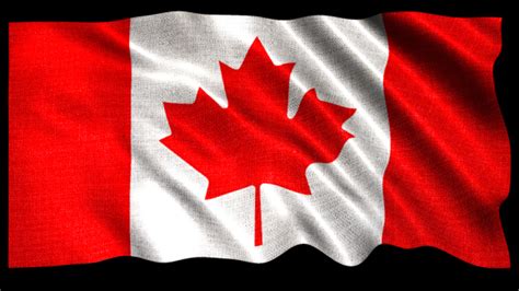 Canada Flag Loop Animation, Motion Graphics | VideoHive