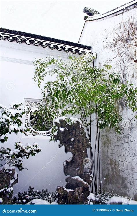 Dr. Sun Yat-Sen Classical Chinese Garden in Winter Stock Image - Image of rokery, travel: 91998427