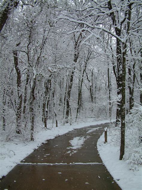 Snow Trail Free Photo Download | FreeImages