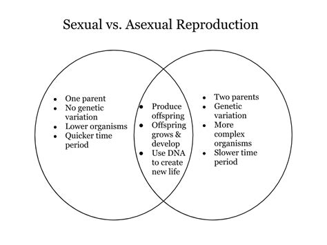 Quia 4 Asexual And Sexual Reproduction