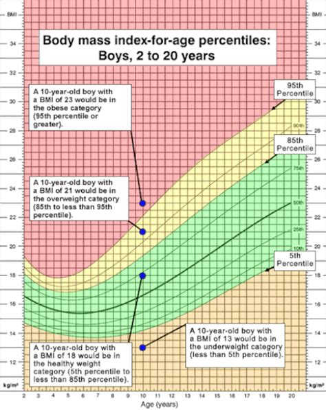 Calculating Your Child's Body Mass Index (BMI)