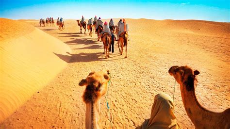 Jodhpur - Overnight Stay in Desert with Camel Safari