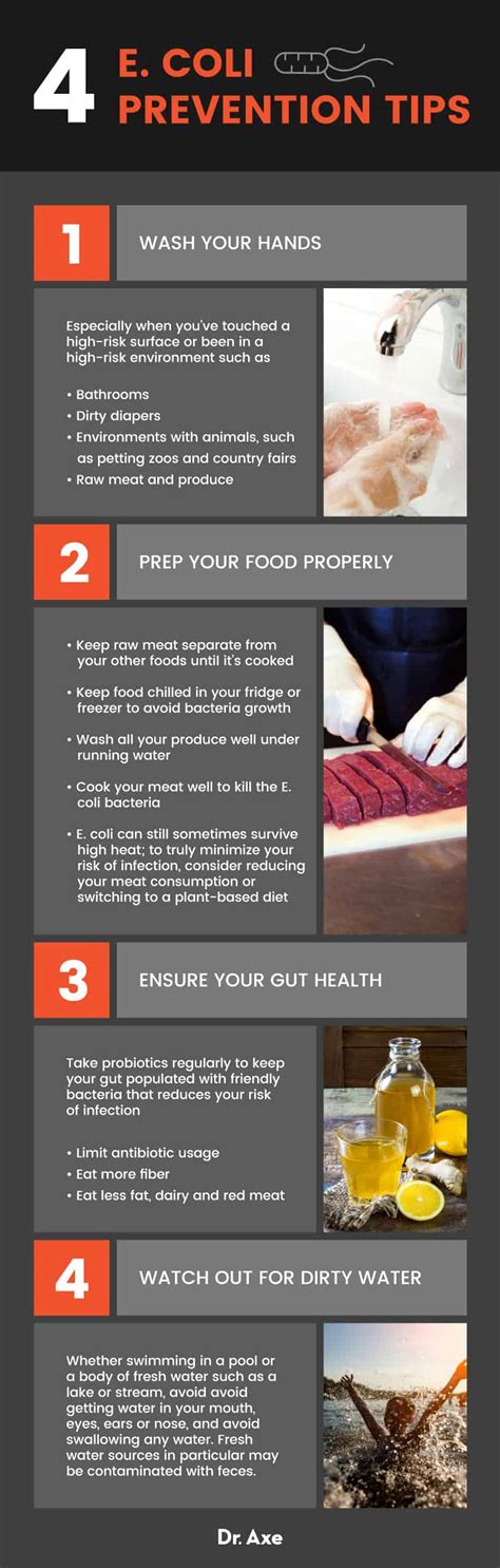 E. coli Symptoms: 6 Ways to Help Recover (+ 4 Prevention Tips) - Dr. Axe