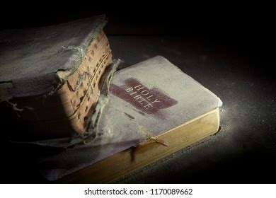 Religious Dusty Holy Bible Cover Read Stock Photo 1170088528 | Shutterstock