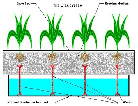 THE WICK SYSTEM