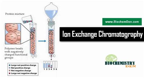 What is Ion Exchange Chromatography and its Applications