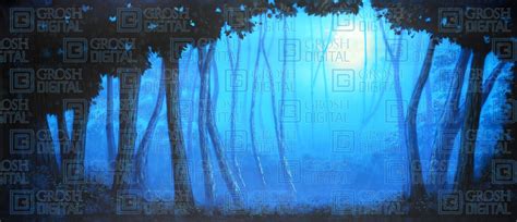 Blue Night Forest Projected Backdrops - Grosh Digital | Night forest, Forest backdrops, Forest