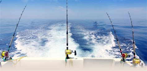 Make Fishing Part of Your Vacation for an Unforgettable Experience ...