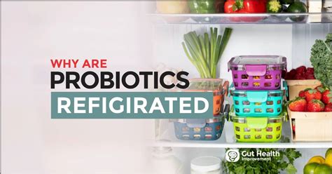 Why Are Probiotics Refrigerated? (it might surprise you)