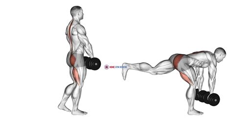 Dumbbell Single Leg Deadlift - Home Gym Review