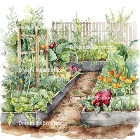 Watercolor Vegetable Garden Clipart, Gardening Clipart, Commercial Use ...