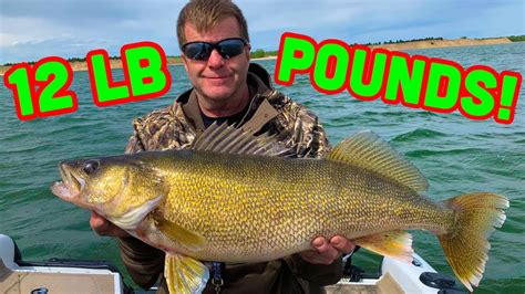 Lake McConaughy | 26 FISH in 9 MINUTES! *CRAZY WALLEYE/WIPER fishing ...