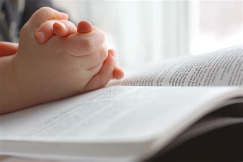 Young Child's Hands Praying On Holy Bible - Trinity Presbyterian Church ...