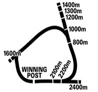 Warwick Farm Racecourse - Giddy Up Sports and Racing - Australian greyhound, harness and ...