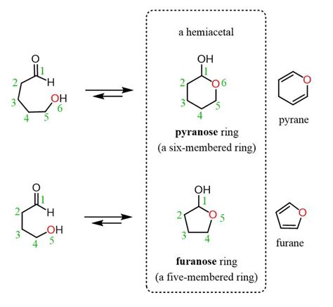 Furanose and Pyranose rings are cyclic hemiacetals of Carbohydrates | Chemistry, Carbohydrates ...