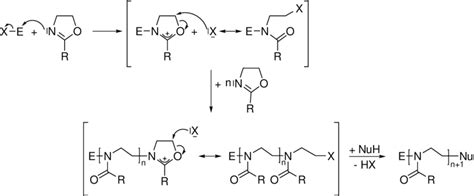 2: Mechanism of living cationic ring-opening polymerization of... | Download Scientific Diagram