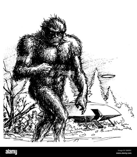 Bigfoot sightings Black and White Stock Photos & Images - Alamy