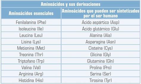 Tabla de aminoácidos: funciones, tipos y características | Aminoacido, Aminoacidos esenciales ...