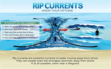 Information about riptides and how to avoid them and survive them