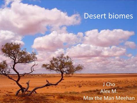 PPT - Desert biomes PowerPoint Presentation, free download - ID:716764