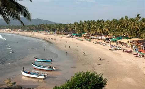 Top 6 Beaches in South Goa: Your Ultimate Coastal Escape - Tusk Travel Blog