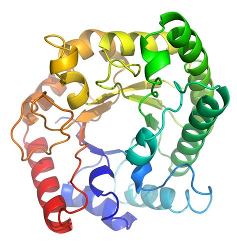 Protein Pictures Biology