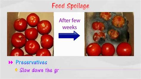 [5.2] Food additives - Preservatives - YouTube