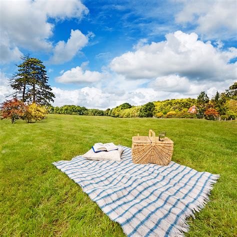 Picnic Blanket And Basket In Sunny Field Photograph by Jo Ann Snover