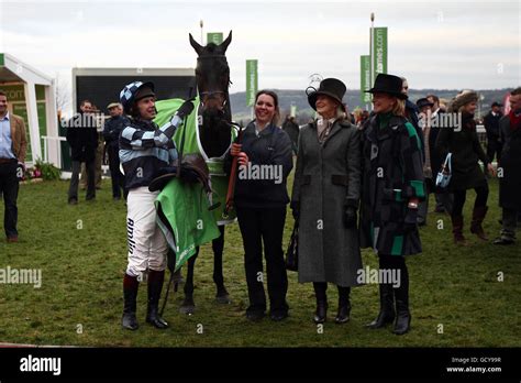 Horse Racing - Cheltenham Racecourse Stock Photo - Alamy