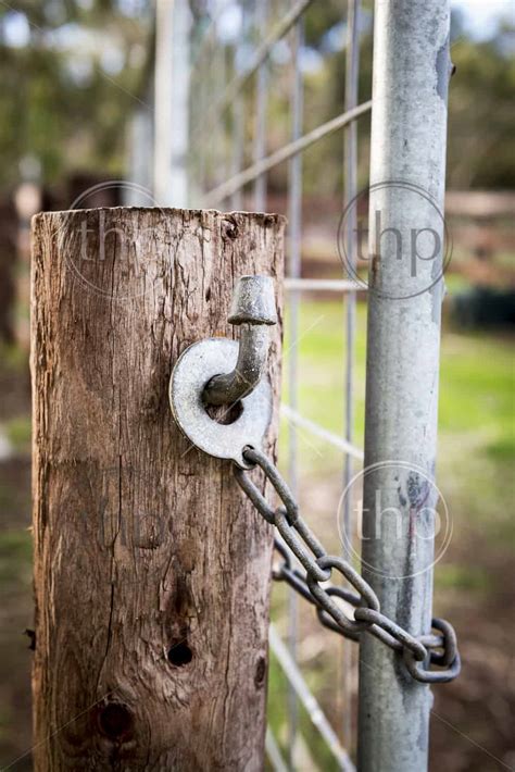 Classic Australian farm gate lock on a wooden post - THPStock