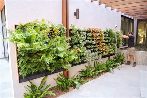 Florafelt Pocket Panel Vertical Garden Installation on Stucco – Plants On Walls