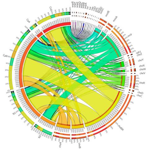 Genes | Free Full-Text | Metagenomics Assessment of Soil Fertilization ...