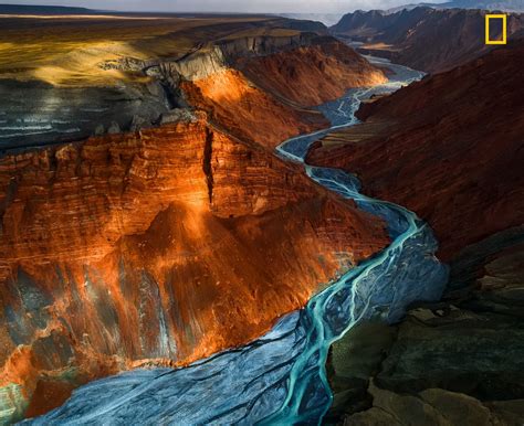 National Geographic’s 2017 Nature Photographer of the Year Contest Winners