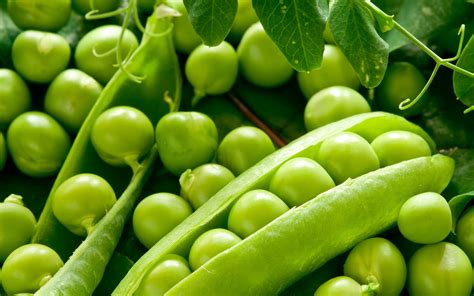 A Guide to Growing Peas At Home | Love The Garden